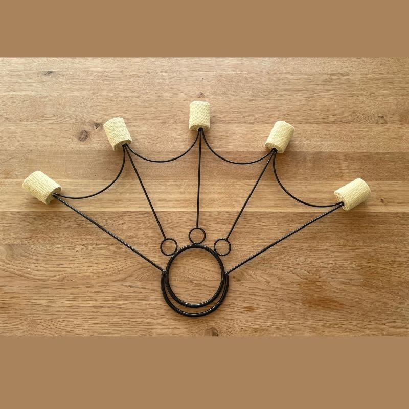 Feuerfächer Spider – Bild 3