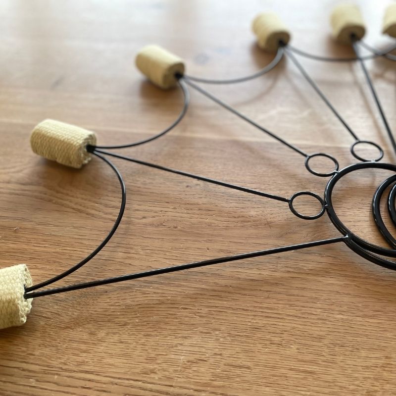 Feuerfächer Spider – Bild 2